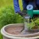 Jak podłączyć pompę do wody deszczowej do systemu zbierania